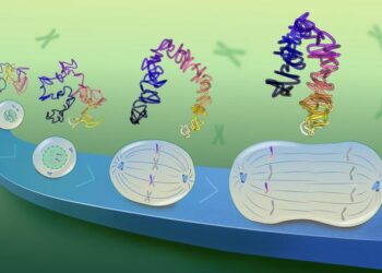 DNA tracing