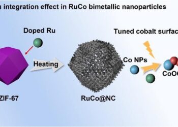 Ru Integration Effect in RuCo Bimetallic Nanoparticles