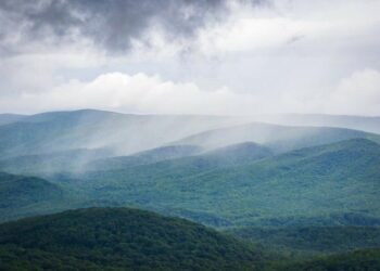 One of this year’s Whole Health Consortium seed grant projects focuses on developing an accessible, integrative treatment for chronic pain and opioid use disorder in Appalachia.
