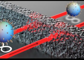 Quantum Noise