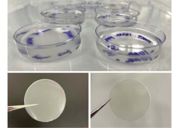Gum tragacanth as a plant-based alternative to gelatin