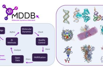 Towards a FAIR database for molecular simulations