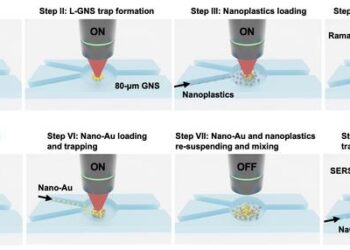 The OM-SERS system involves using a laser to heat up nanoparticles of gold. Nanoplastics suspended in solution flock to the gold, allowing them to be counted and analyzed.
