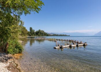 some drugs end up in lakes, rivers and streams, posing a risk to aquatic ecosystems
