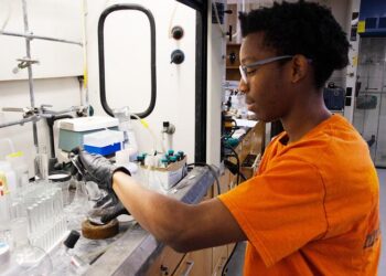 University of Tennessee's Joshua Baccile awarded grant