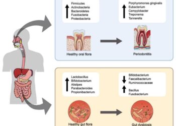 Oral and gut microflora associated with healthy states and dysbiosis.
