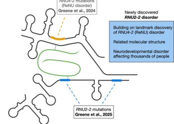Landmark Study Identifies New Genetic Cause of Neurodevelopmental Disorders