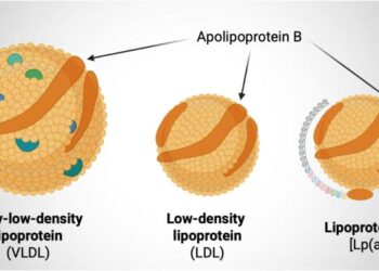 Lipoprotein carrier graphic