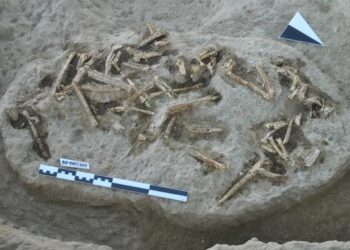 A view from the Sofular excavation site in Central Anatolia, Türkiye