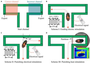 Maze channel design and implementation methods for the three training schemes.