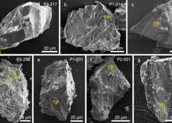 Secondary electron (SE) images of the 7 mineral clasts from Chang’e-6 lunar farside sample investigated in this study.