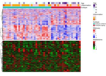 Unsupervised clustering results