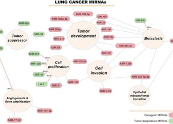 miRNA-Regulated Signaling Pathways in Lung Cancer: miRNAs can function as either tumor suppressors or tumor development (oncogenes)