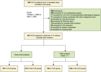 Figure 1. Research flowchart. This study screened a total of 995 patients, and ultimately determined that 397 patients met the inclusion criteria. According to whether the caudate lobe of the liver was resected, propensity score matching (PSM) was perform