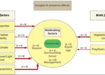 Impact of Douglas fir on above- and below-ground biodiversity through changes in abiotic (left) and biotic factors (right)