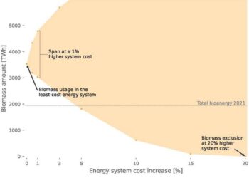Biomass in a European energy system with negative emissions