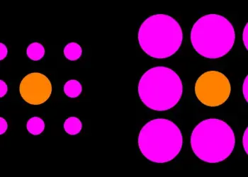 The experts that can outsmart optical illusions