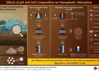 How pH and soil composition influence nanoplastic adsorption