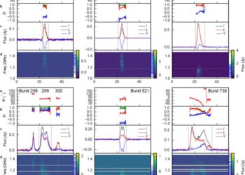 Polarimetric results of a selected sample of bursts with high degrees of circular polarization or abrupt jumps in the linear polarization position angle.