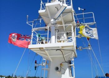Oleander mast