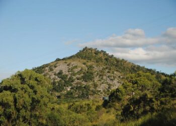 Megafauna mobility: Assessing the foraging range of an extinct macropodid from central eastern Queensland, Australia