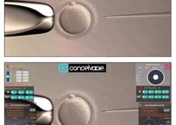 What the embryologist sees during manual vs remotely controlled automated ICSI