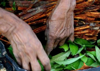 Setting, Acute Reaction and Mental Health History Shape Ayahuasca's Longer-term Psychological Effects