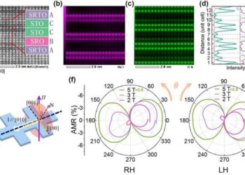 Angle-resolved Electrical Magneto-Chiral Effect demonstrated in SrRuO3-SrRu1-xTixO3-SrTiO3-SrTiO3 ABCC structure