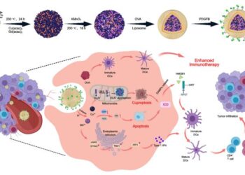 Smart Nanotherapy Enhances Immune Attack on Melanoma