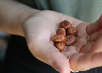 Hazelnuts