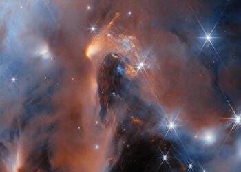 The chemical basis for life can form in interstellar ice