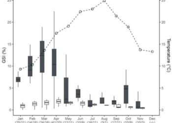 Gonadosomatic-index (GSI) of female and male European catfish Silurus glanis specimens in relation to water temperature in the Lower River Tagus (LRT)