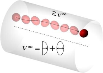 Capsule in a flow