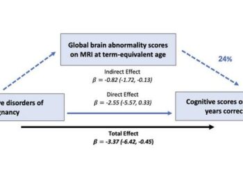Preterm infant brain development affected by maternal high blood pressure