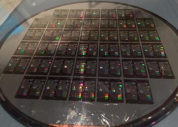 A silicon wafer chip