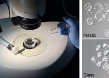 Comparison of Embryo Development in Glassware and Plasticware