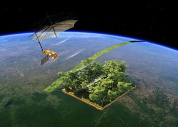 New satellite will weigh the world’s forests