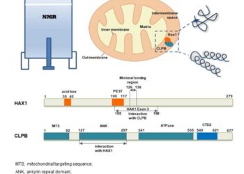 SCHEMATIC DIAGRAMS FOR PROTEIN SEQUENCES