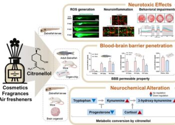 [1] Graphical Abstract