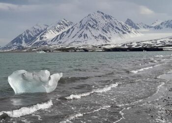 Global warming may weaken Arctic fjords' ability to store carbon. This is Kings Bay in Svalbard.