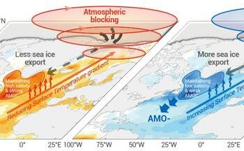 Schematic diagram of the positive feedback between the AMO and FSSIE
