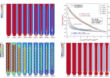 HOW THE NATURAL CONVECTION SHAPES DISTRIBUTION OF DMC CRYSTAL LAYERS