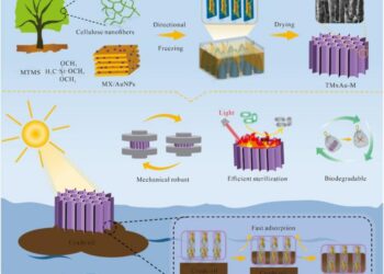 Breakthrough in Oil Spill Remediation: A Robust MXene Aerogel with Photothermal Properties
