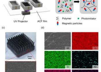Schematic illustration and SEM images of the multi-material one-step printing process and the printed samples