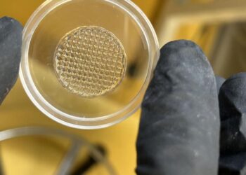 3D-printed structure made of optimised hydrogel.