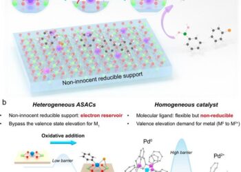Artful single-atom catalyst for sustainable chemical and pharmaceutical synthesis