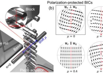 Experimental Setup and Displacement Field Analysis for Polarization-Protected Bound States in the Continuum (BIC)