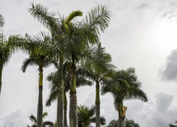 Most Floridians Worry About Homeowners Insurance, Stronger Hurricanes