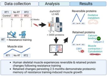 Visual abstract of the study