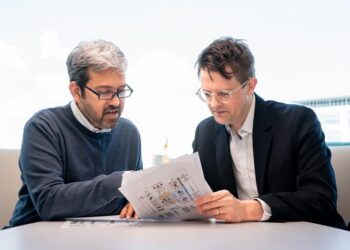 Researchers crack the code of cell movement